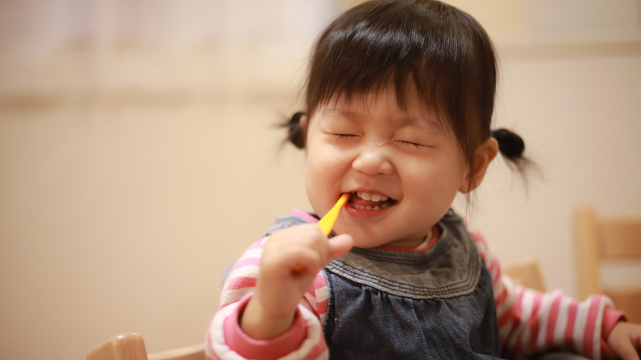 予防歯科にも注力